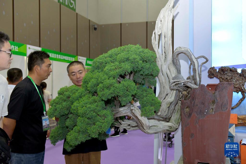长乐坊游戏官网